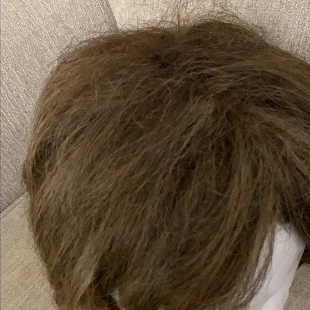 Wig